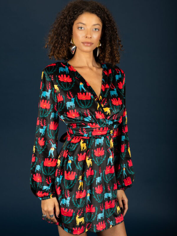 Chaton Harry velvet dress