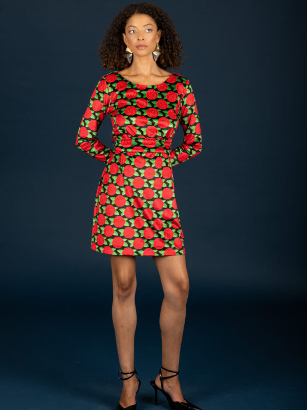 Chaton Dylan velvet dress