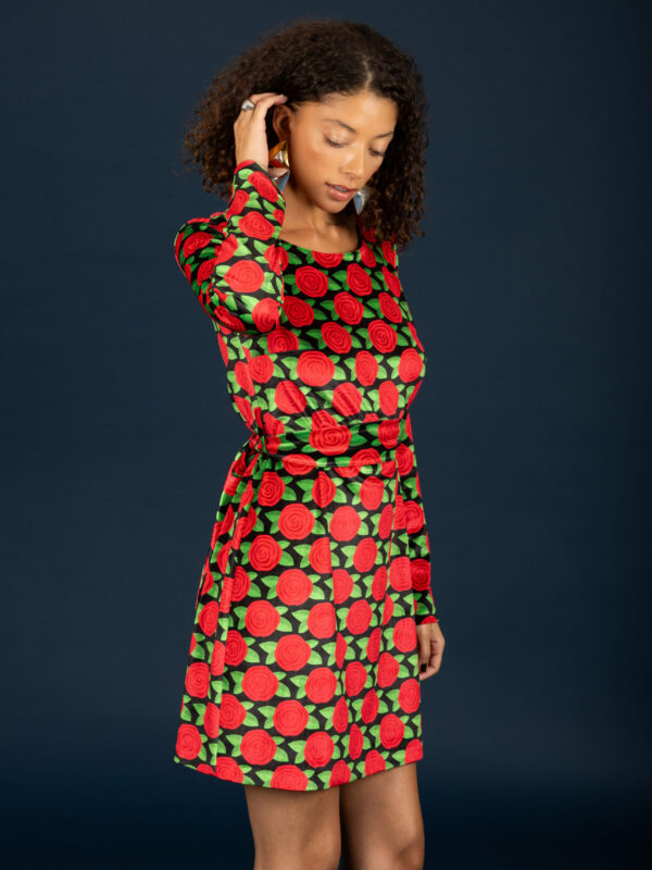 Chaton Dylan velvet dress