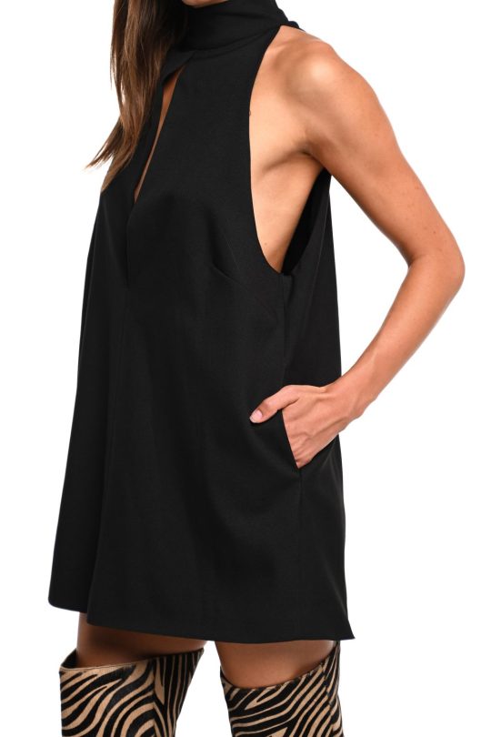 Trilogy Clothing Dusk mini dress